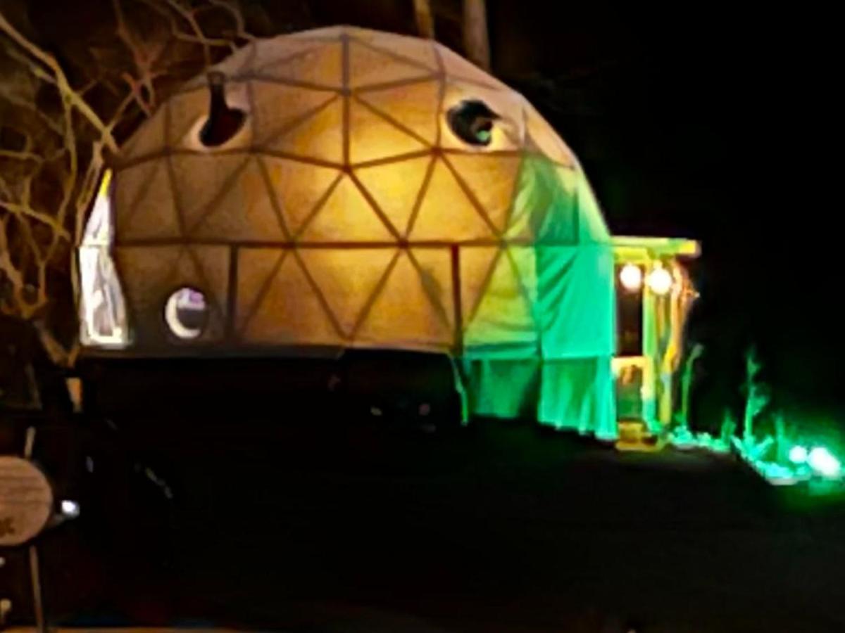 Waterfront Luxury Glamping Dome Hotel Rogersville Ngoại thất bức ảnh