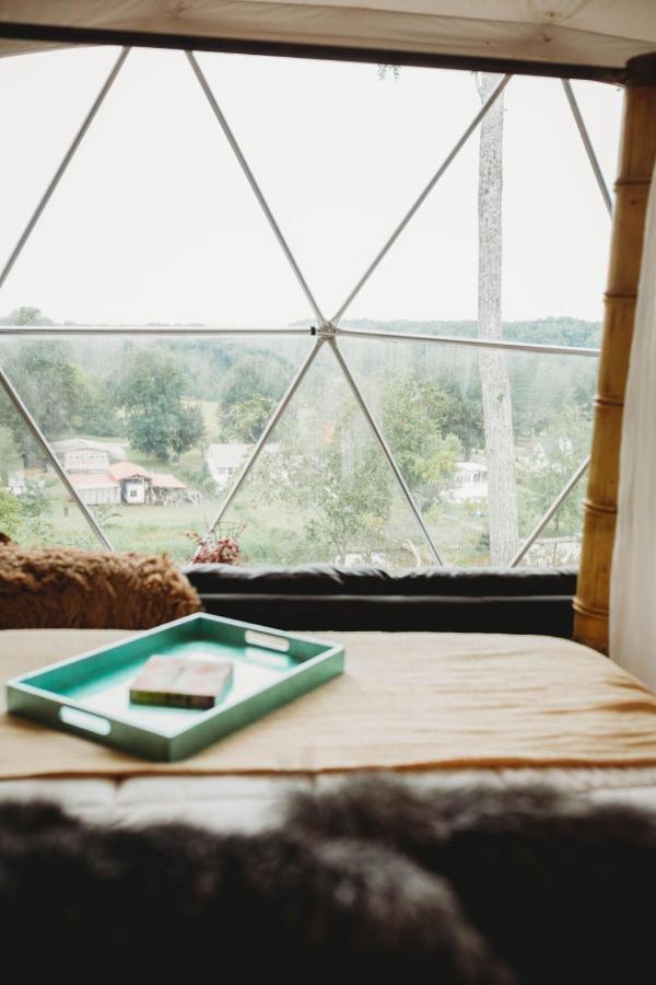 Waterfront Luxury Glamping Dome Hotel Rogersville Ngoại thất bức ảnh