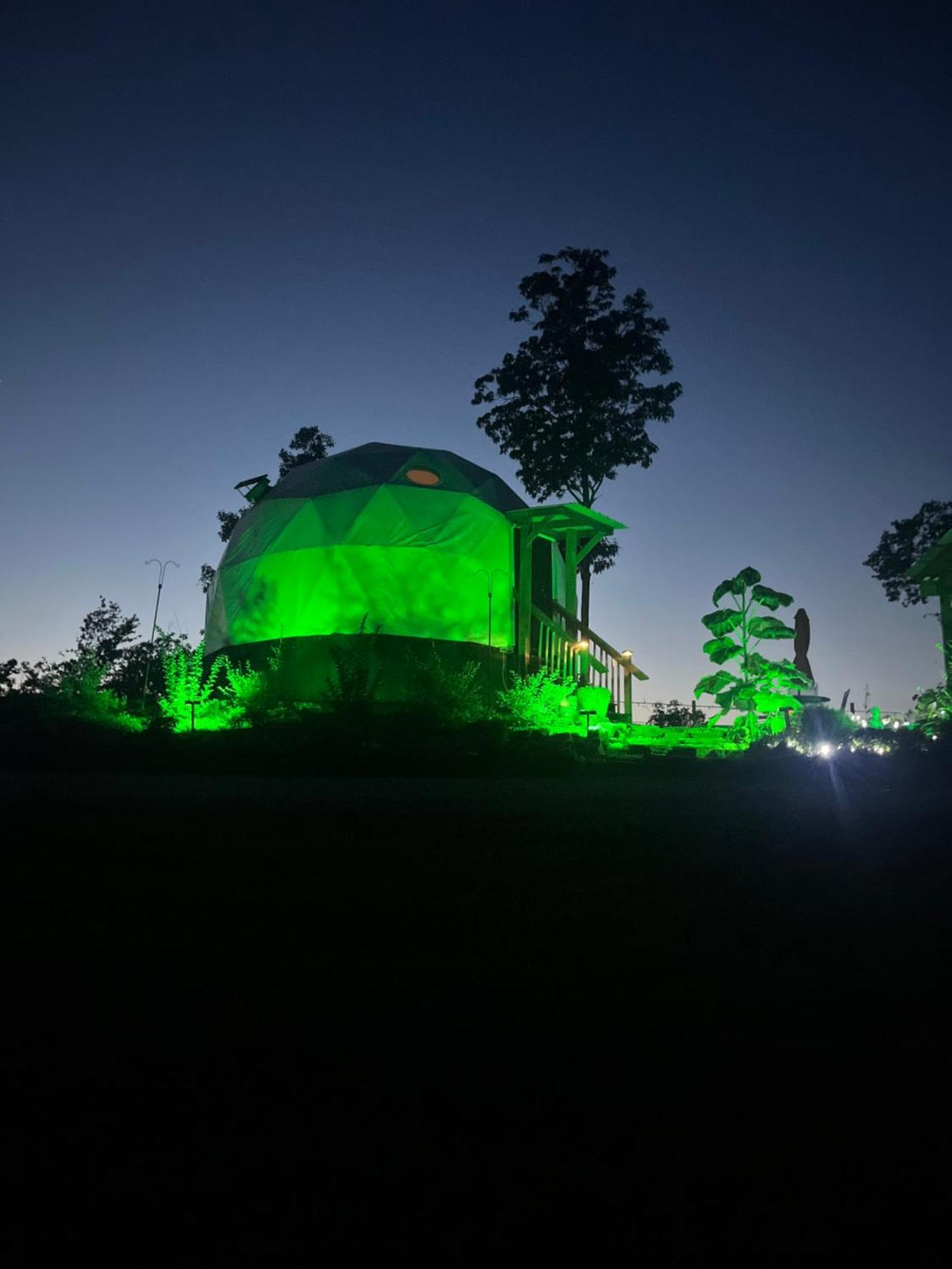 Waterfront Luxury Glamping Dome Hotel Rogersville Ngoại thất bức ảnh