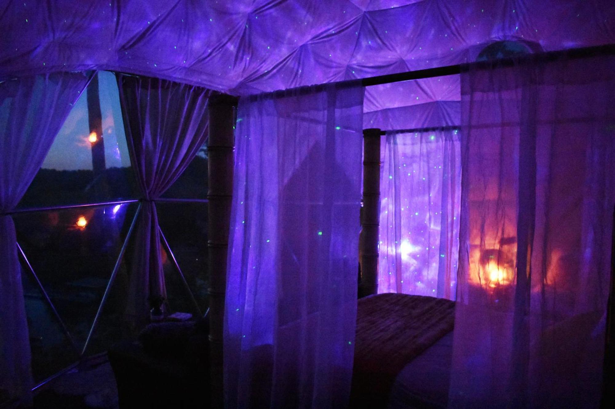 Waterfront Luxury Glamping Dome Hotel Rogersville Ngoại thất bức ảnh